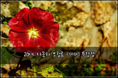 20대 자동차 보험료 더케이 특장점