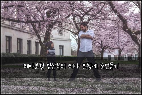 ํ์๋ณดํ ์์ฐ๋ถ์ ํ์ ๋ณดํ์ ์กฐ์ธ๋ฃ๊ธฐ