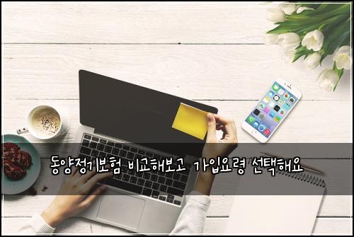 동양정기보험 비교해보고  가입요령 선택해요