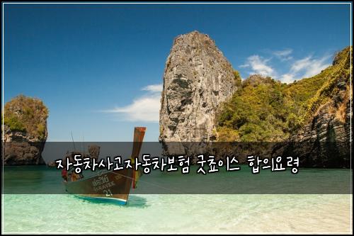 자동차사고자동차보험 굿쵸이스  합의요령