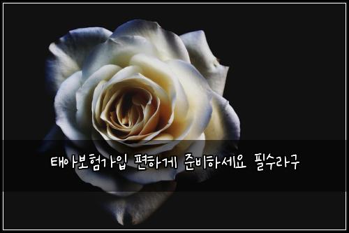 태아보험가입 편하게 준비하세요 필수라구