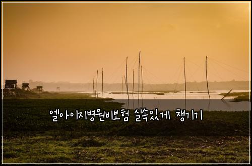 엘아이지병원비보험 실속있게 챙기기