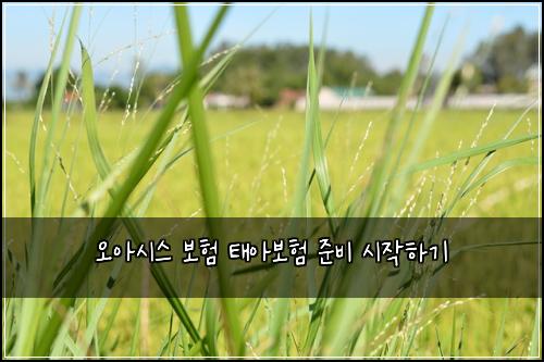 오아시스 보험 태아보험 준비 시작하기