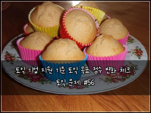 토익 기업 지원 기준 토익 목표 점수 변화 체크 : 토익 문제 #56