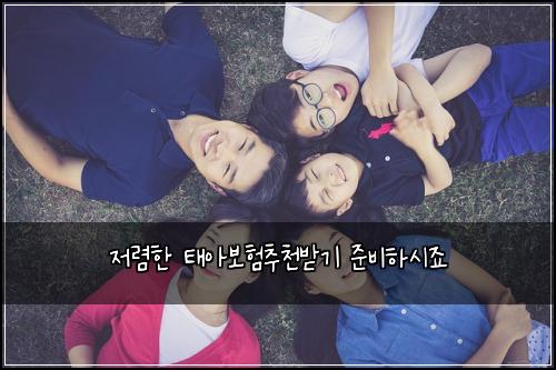 저렴한 태아보험추천받기 준비하시죠