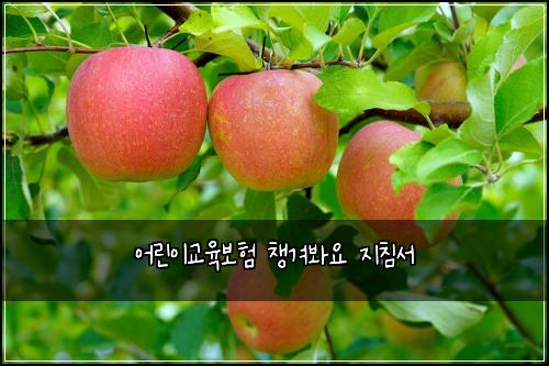 어린이교육보험 챙겨봐요  지침서