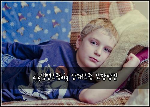 aig생명보험aig 상해보험 보장방법