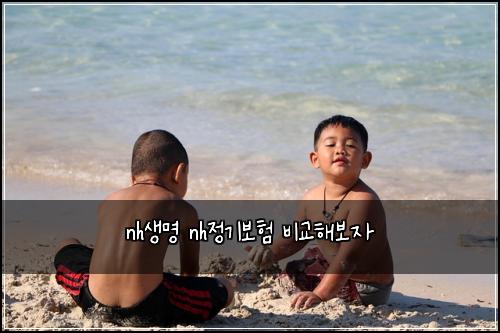 nh생명 nh정기보험 비교해보자 