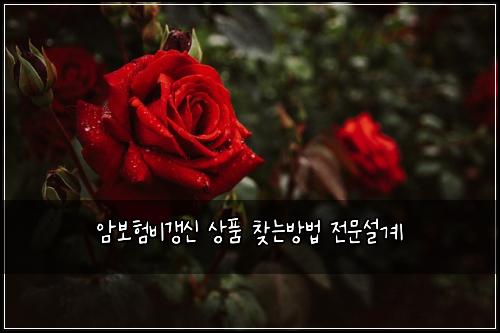 암보험비갱신 상품 찾는방법 전문설계