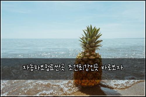 자동차보험료싼곳 조건최강인곳 바로보자