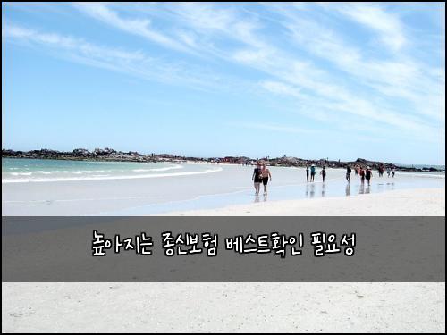 높아지는 종신보험 베스트확인  필요성