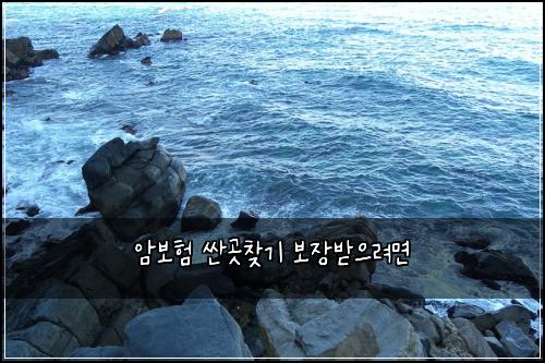 암보험 싼곳찾기  보장받으려면