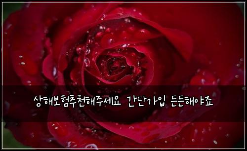 상해보험추천해주세요 간단가입 든든해야죠