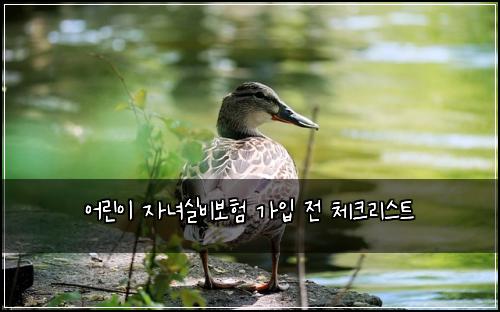 어린이 자녀실비보험 가입 전 체크리스트