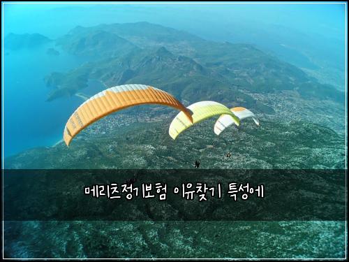 메리츠정기보험 이유찾기  특성에