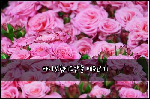태아보험비교샵을 배워보기