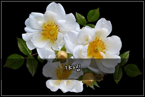 기다림
