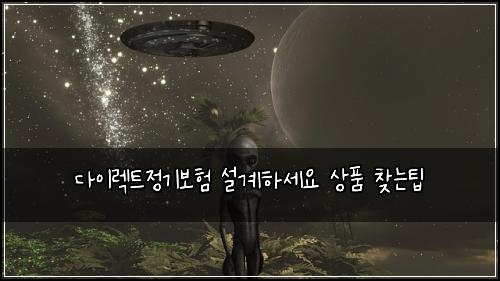 다이렉트정기보험 설계하세요  상품 찾는팁