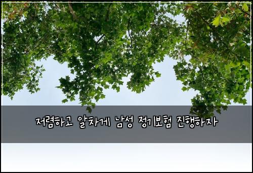 저렴하고 알차게 남성 정기보험 진행하자 
