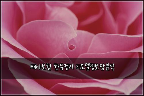 태아보험 한큐정리  리모델링보장분석