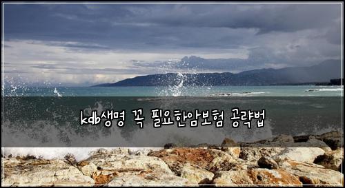 kdb생명 꼭 필요한암보험 공략법 