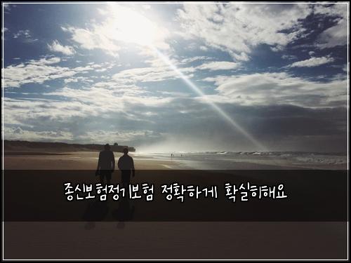 종신보험정기보험 정확하게 확실히해요