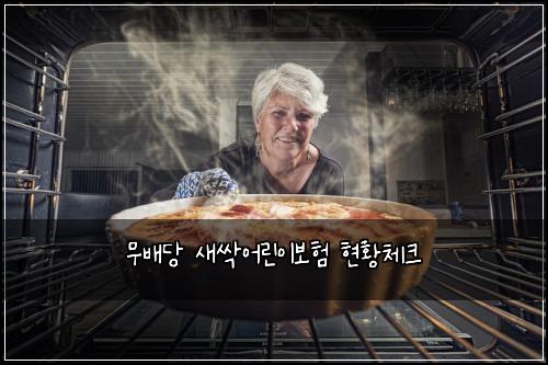 무배당 새싹어린이보험 현황체크 