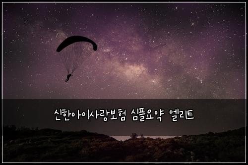 신한아이사랑보험 심플요약  엘리트