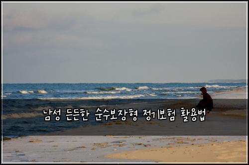 남성 든든한 순수보장형 정기보험 활용법