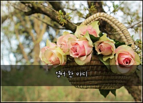영어 한 마디