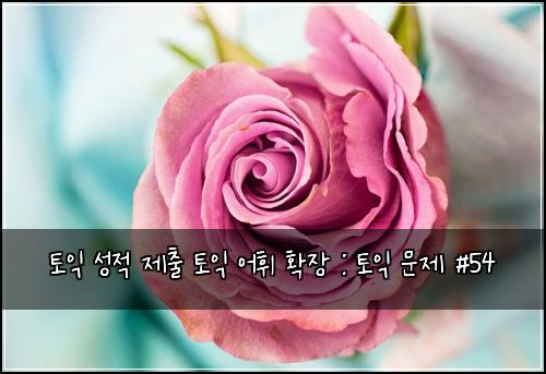 토익 성적 제출 토익 어휘 확장 : 토익 문제 #54