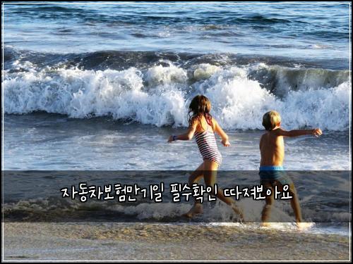 ์๋์ฐจ๋ณดํ๋ง๊ธฐ์ผ ํ์ํ์ธ ๋ฐ์ ธ๋ณด์์