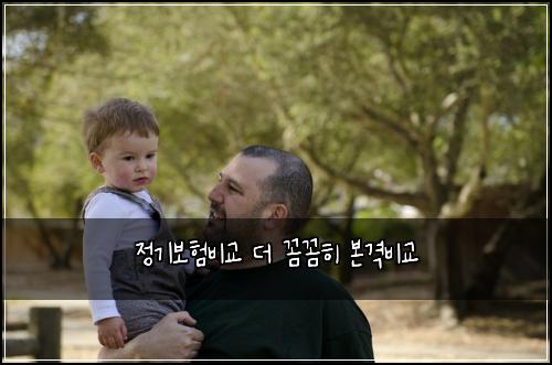정기보험비교 더 꼼꼼히 본격비교