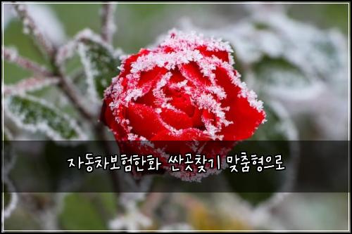자동차보험한화 싼곳찾기 맞춤형으로