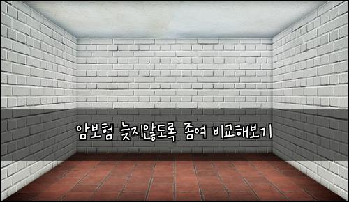 암보험 늦지않도록  좀여 비교해보기