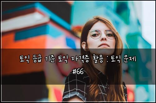 토익 등급 기준 토익 자격증 활용 : 토익 문제 #66
