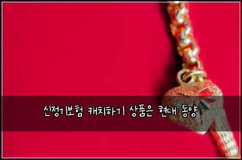 신정기보험 캐치하기  상품은 현대 동양