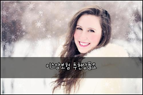 이스암보험 추천상품요 