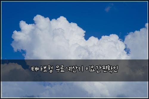 태아보험 무료계산기  이요간편확인