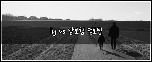 lig vs 암보험 정보팁 
