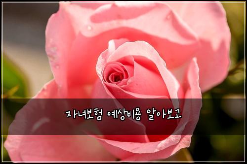 자녀보험 예상비용  알아보고