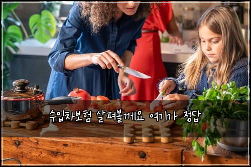 수입차보험 살펴볼께요  여기가 정답