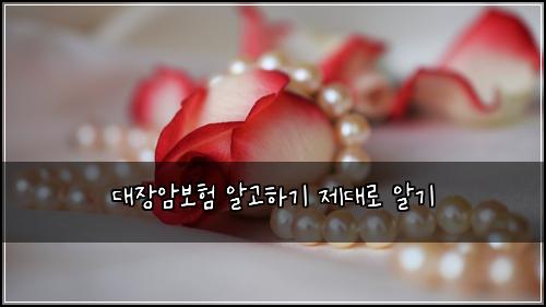 대장암보험 알고하기  제대로 알기