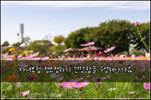자녀보험 정보정하기  건강함을 구성해나가요