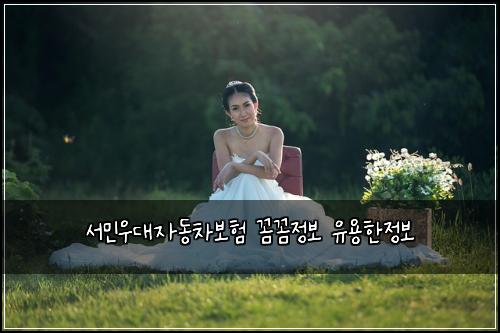 서민우대자동차보험 꼼꼼정보  유용한정보