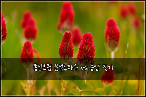 종신보험 분석노하우  vs 동양 정기