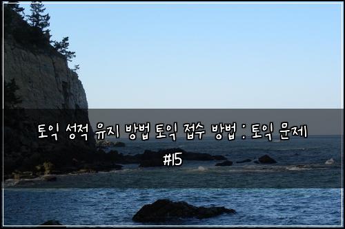 토익 성적 유지 방법 토익 접수 방법 : 토익 문제 #15
