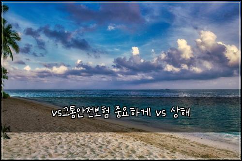vs교통안전보험 중요하게  vs 상해