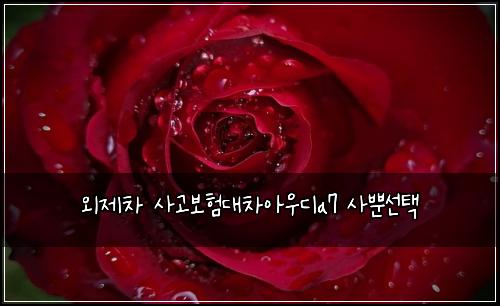 ์ธ์ ์ฐจ ์ฌ๊ณ ๋ณดํ๋์ฐจ์์ฐ๋a7 ์ฌ๋ฟ์ ํ