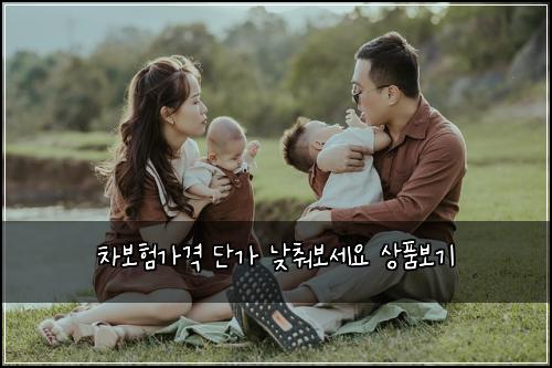 차보험가격 단가 낮춰보세요 상품보기